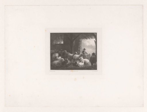 Stable with sheep