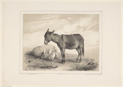 Resting Pack Donkey