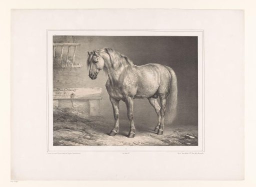 Horse in a stable