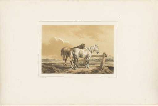 Two Horses in a Meadow by a Fence