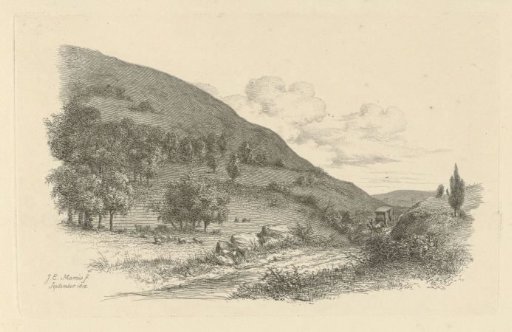 Carriage in a landscape
