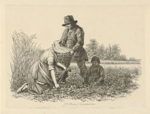 Potato diggers