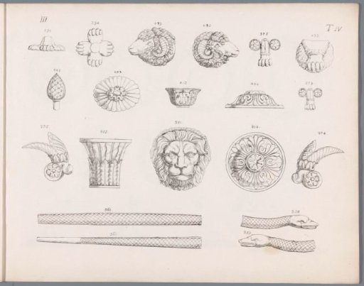 Ornaments and parts of animals