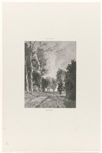 A View Through