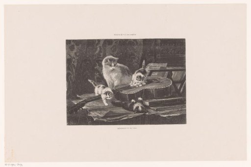 Cat and four kittens by a guitar