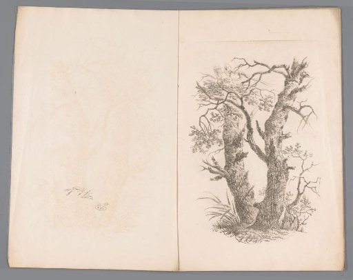 Two trees