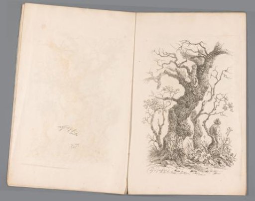 Man beside a tree