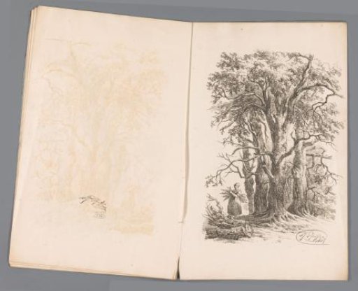 Woman in a forest