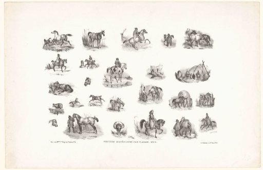 25 views of horses and riders