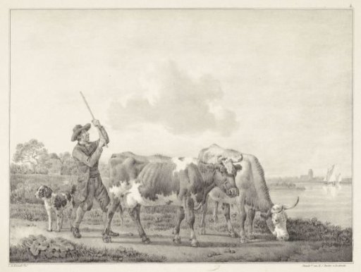 Farmer driving two cows