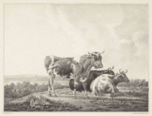 Three cows in a landscape