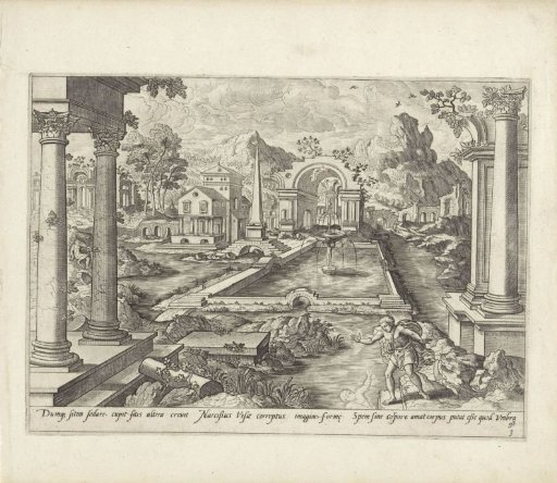 Narcissus