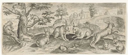 Squirrels and Rabbits