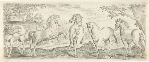 Horses