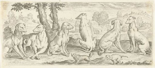 Dogs