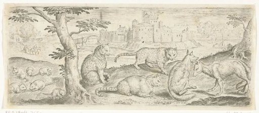 Rats, cats and foxes