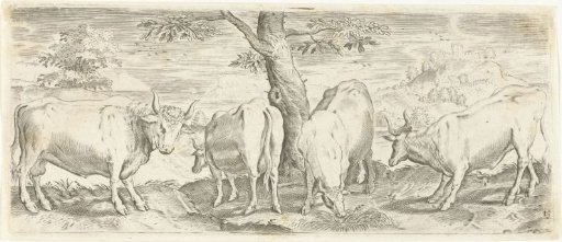Cows, a bull and an ox