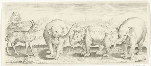 Gazelle, elephant and rhinoceros