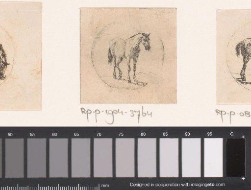 Standing Horse