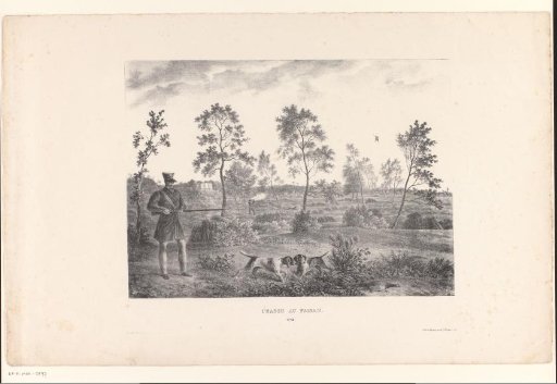 Pheasant hunt