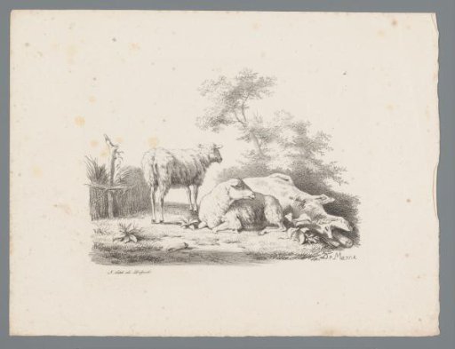 Landscape with two sheep