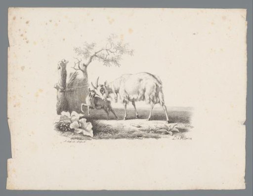Goat with kid