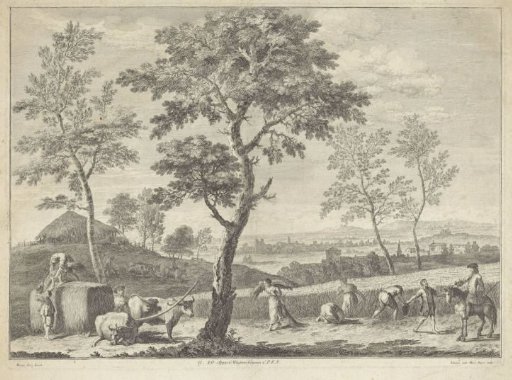 Landscape with a grain harvest