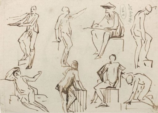 Studies of the human body