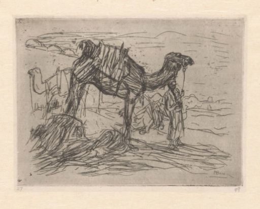 Camel