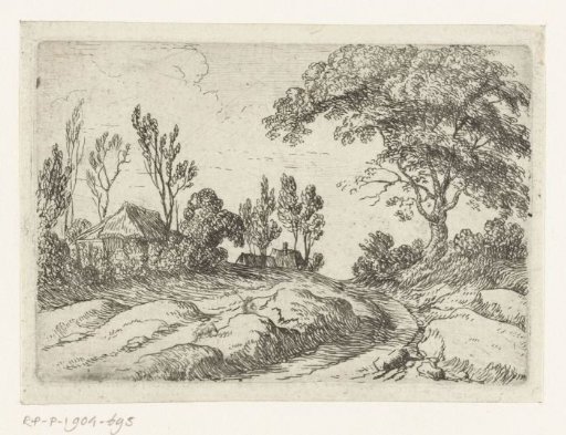 Large tree along a road