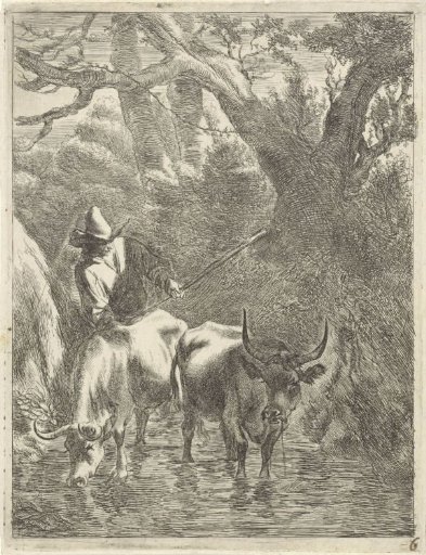 Shepherd driving two cattle through a stream
