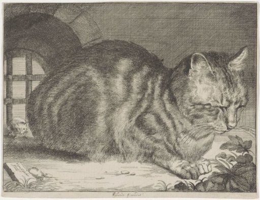 The Large Cat