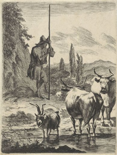 Shepherd with a long staff and cattle