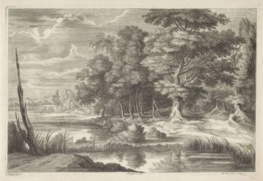 Forest Landscape with a Pond