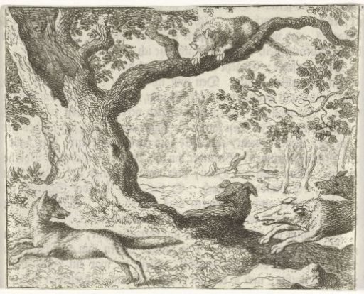Cat in a tree
