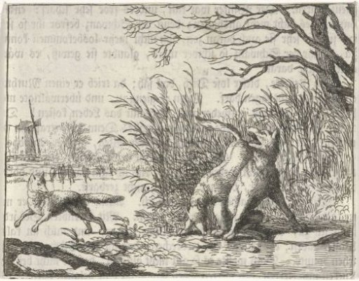 Landscape with two foxes and a wolf
