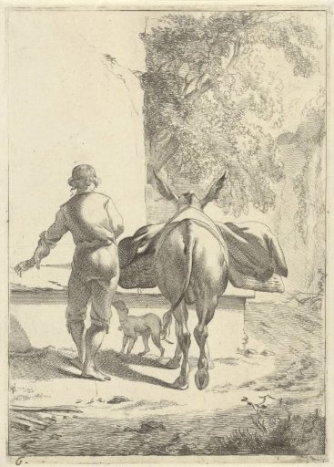 Donkey at a water trough
