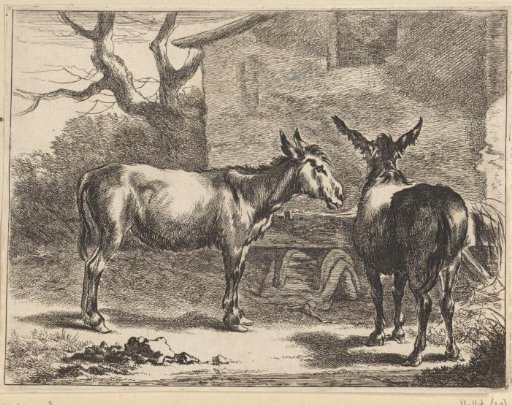 Two Donkeys at a Trough