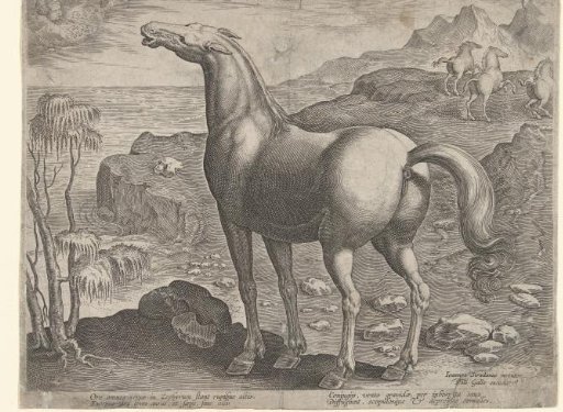 Zephyr impregnating a mare