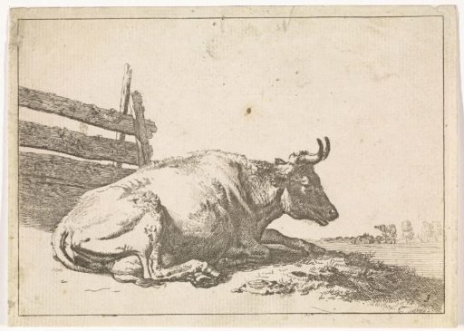 Lying cow by a fence