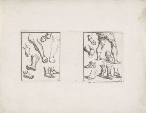 Feet and legs