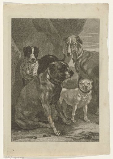 Four dogs