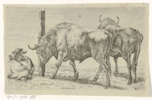 Bulls