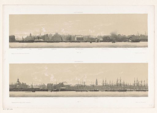 Profile of Amsterdam