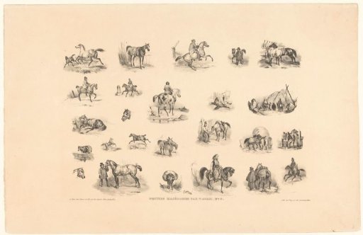 25 views of horses and riders