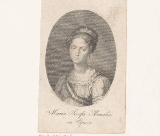 Portrait of Maria Josepha of Saxony, Queen Consort of Spain