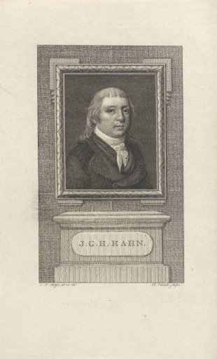 Portrait of Jacob George Jeronimo Hahn
