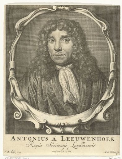Portrait of Antonie van Leeuwenhoek