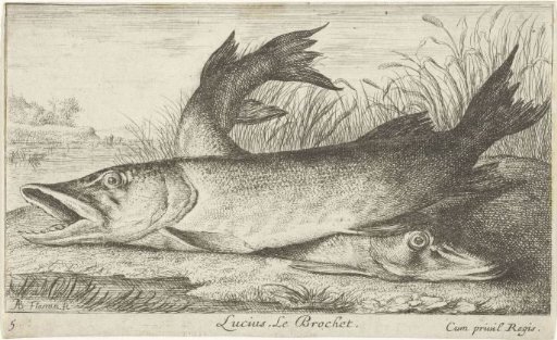 Two pike on a riverbank