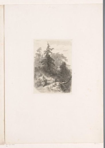 Forest landscape with pheasants